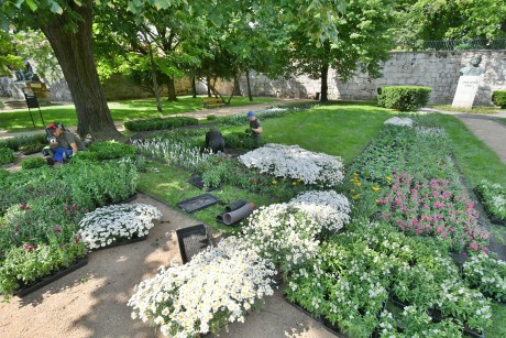 Virágosabb lett a megújult Prohászka liget - elültették az egynyári növényeket is